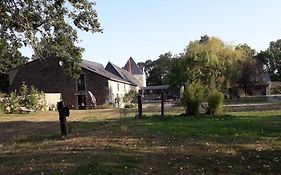 Au Fabuleux Festin